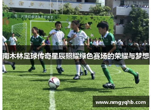 南木林足球传奇星辰照耀绿色赛场的荣耀与梦想