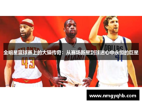 全明星篮球赛上的大猫传奇：从赛场新星到球迷心中永恒的巨星